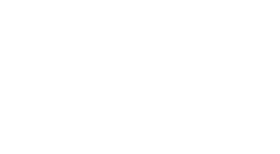 Logo quer neg